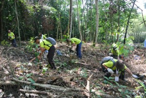 Click picture for bigger format