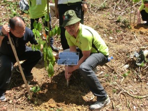 Click picture for bigger format